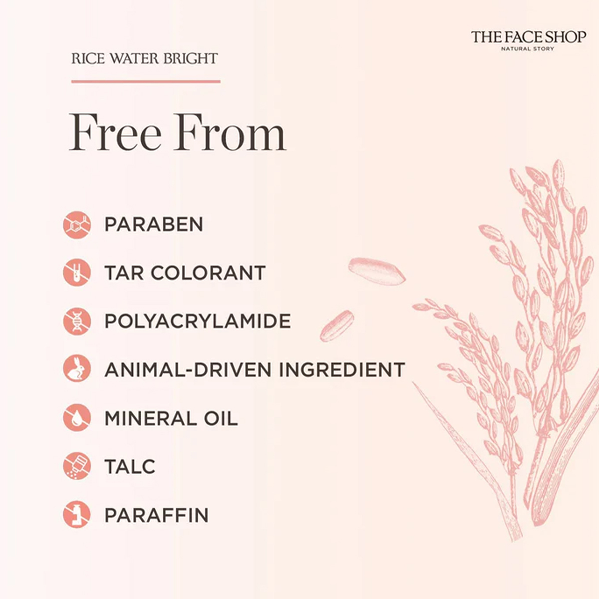 THE FACE SHOP RICE WATER BRIGH - огляд і ціна Luxury Skincare Shop